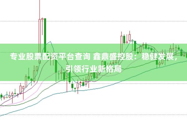 专业股票配资平台查询 鑫鼎盛控股：稳健发展，引领行业新格局