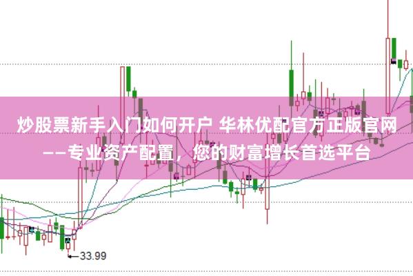 炒股票新手入门如何开户 华林优配官方正版官网——专业资产配置，您的财富增长首选平台