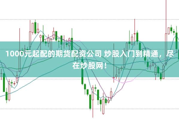 1000元起配的期货配资公司 炒股入门到精通，尽在炒股网！