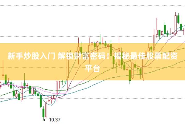 新手炒股入门 解锁财富密码！揭秘最佳股票配资平台