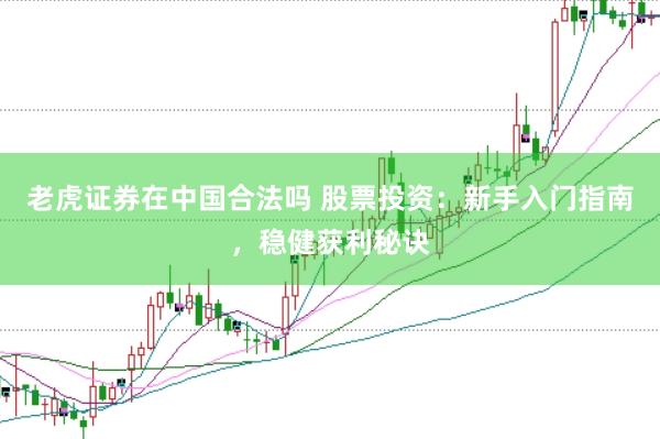 老虎证券在中国合法吗 股票投资：新手入门指南，稳健获利秘诀