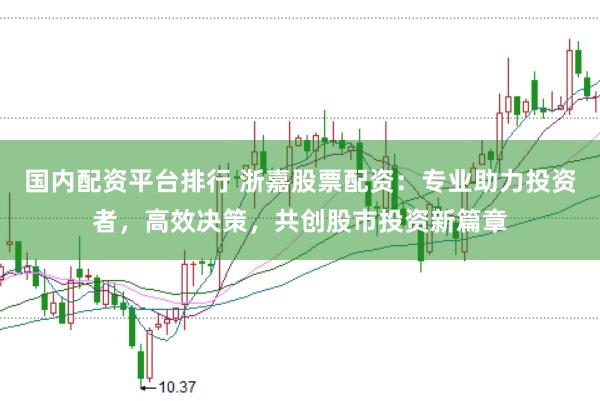 国内配资平台排行 浙嘉股票配资：专业助力投资者，高效决策，共创股市投资新篇章