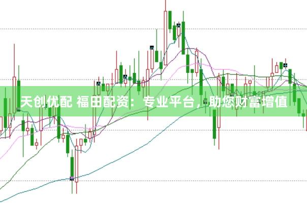 天创优配 福田配资：专业平台，助您财富增值