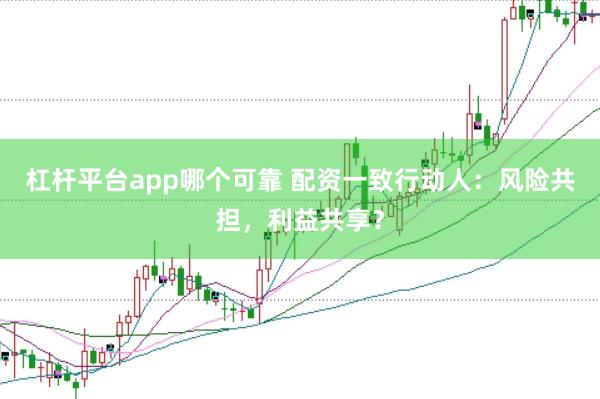 杠杆平台app哪个可靠 配资一致行动人：风险共担，利益共享？