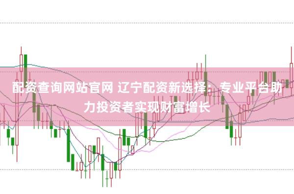 配资查询网站官网 辽宁配资新选择：专业平台助力投资者实现财富增长