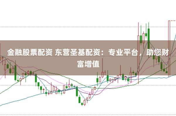 金融股票配资 东营圣基配资：专业平台，助您财富增值