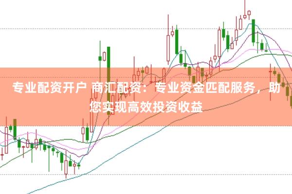 专业配资开户 商汇配资：专业资金匹配服务，助您实现高效投资收益