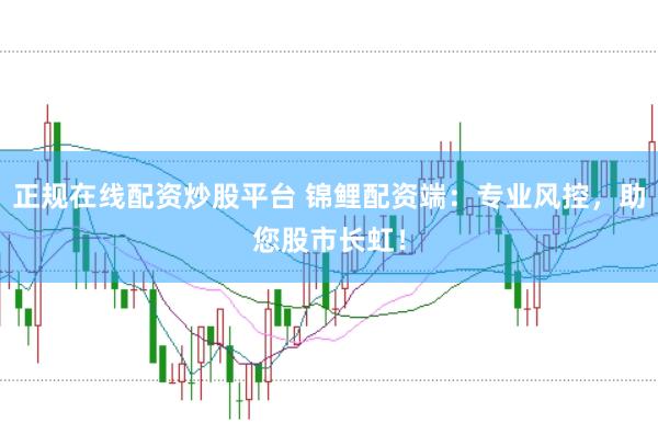 正规在线配资炒股平台 锦鲤配资端：专业风控，助您股市长虹！
