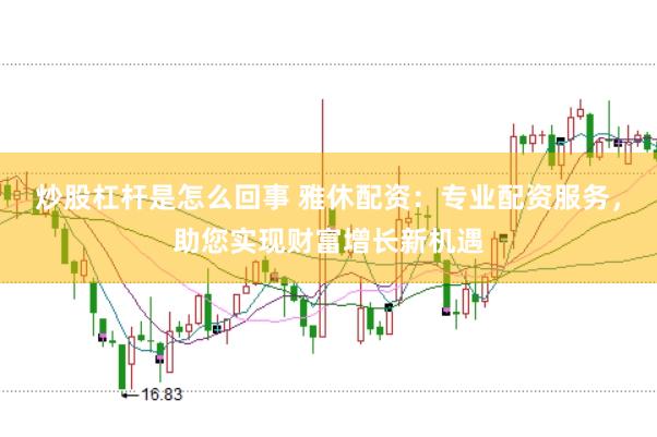 炒股杠杆是怎么回事 雅休配资：专业配资服务，助您实现财富增长新机遇