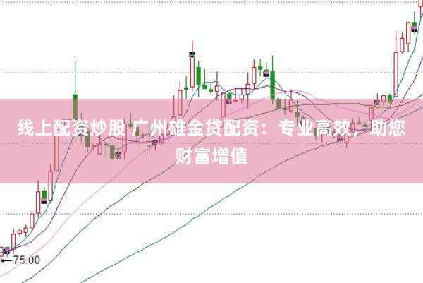 线上配资炒股 广州雄金贷配资：专业高效，助您财富增值