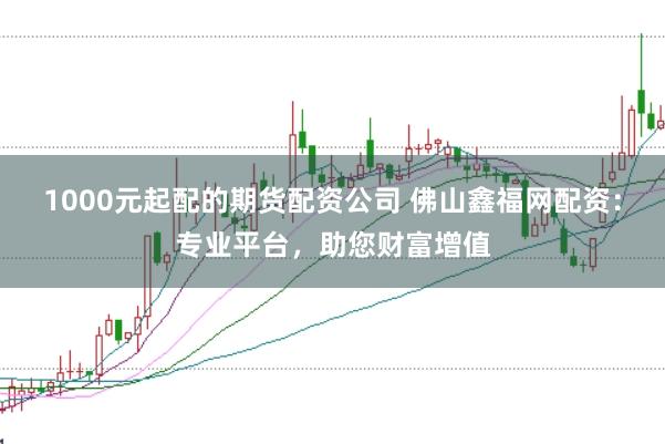 1000元起配的期货配资公司 佛山鑫福网配资：专业平台，助您财富增值