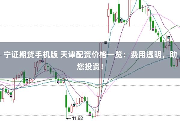 宁证期货手机版 天津配资价格一览：费用透明，助您投资！