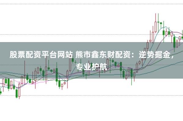 股票配资平台网站 熊市鑫东财配资：逆势掘金，专业护航