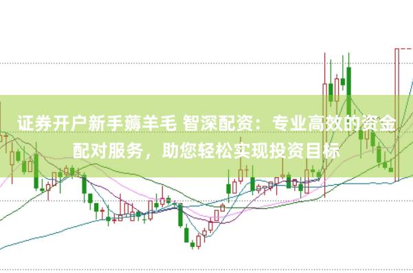 证券开户新手薅羊毛 智深配资：专业高效的资金配对服务，助您轻松实现投资目标