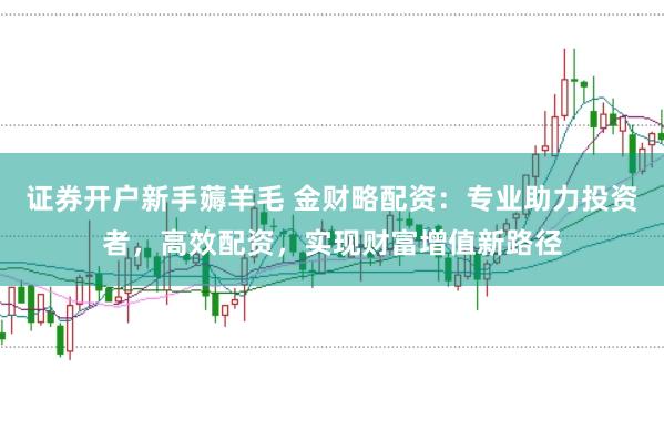 证券开户新手薅羊毛 金财略配资：专业助力投资者，高效配资，实现财富增值新路径