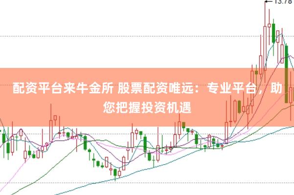 配资平台来牛金所 股票配资唯远：专业平台，助您把握投资机遇