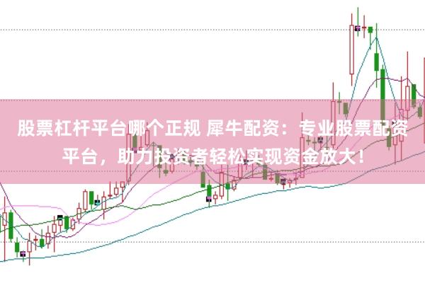 股票杠杆平台哪个正规 犀牛配资：专业股票配资平台，助力投资者轻松实现资金放大！