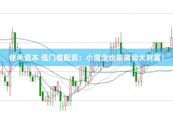 佳禾资本 低门槛配资：小资金也能撬动大财富！
