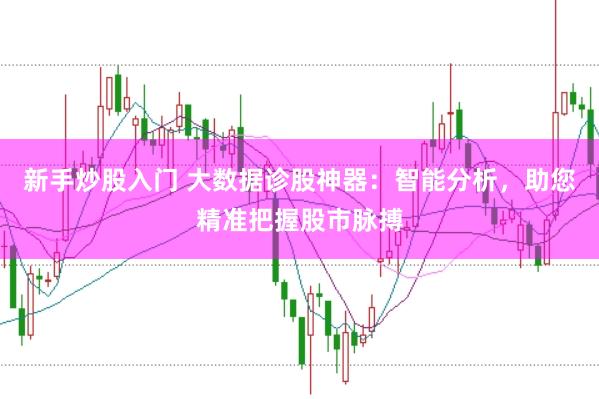 新手炒股入门 大数据诊股神器：智能分析，助您精准把握股市脉搏
