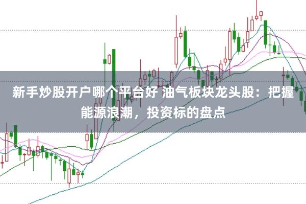 新手炒股开户哪个平台好 油气板块龙头股:把握能源浪潮,投资标的盘点